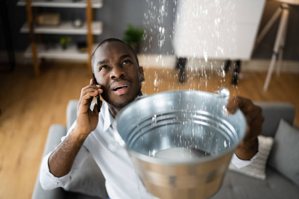 Best Water damage restoration experts  in Ellsworth, ME