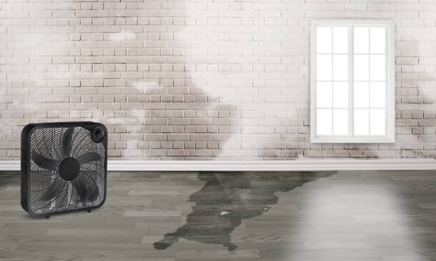 Best Water damage restoration company  in Ellsworth, ME