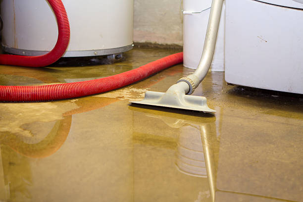 Best 24/7 water damage repair  in Ellsworth, ME