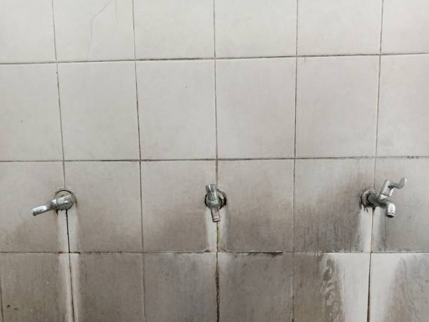 Best 24/7 water damage repair  in Ellsworth, ME