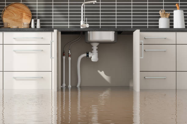 Best Mold removal after water damage  in Ellsworth, ME